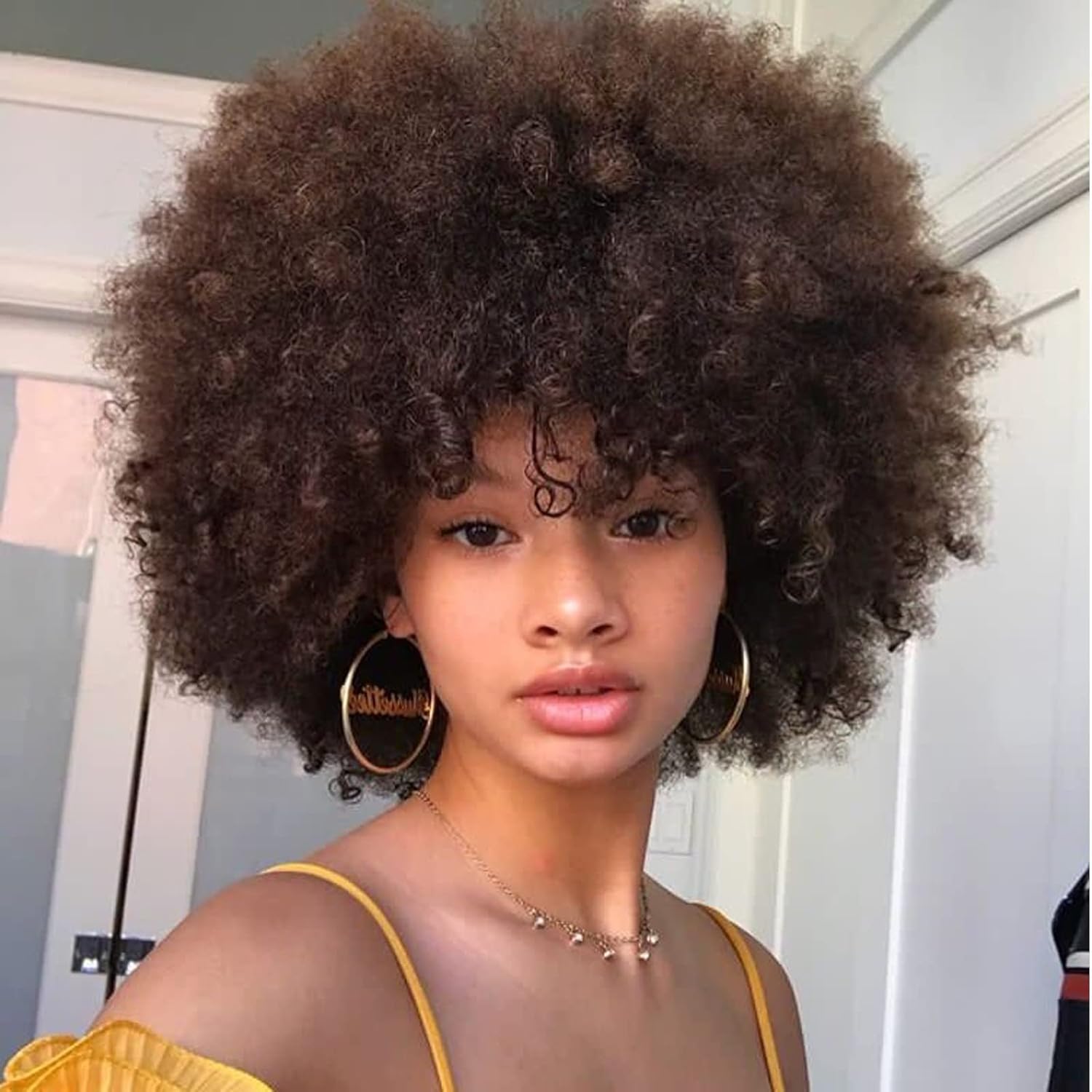 Puffy Afro Wig for Black Women, Light Brown Afro Wigs 70s Large Bouncy and Soft Natural Looking Hair, Short Afro Kinky Curly Premium Synthetic Wig (Dark Brown2/4#)