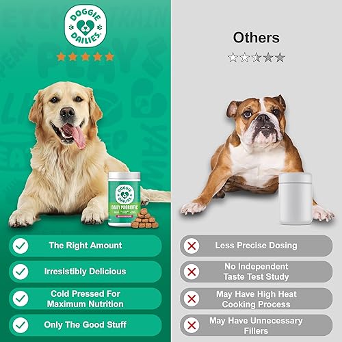 Miniatura 5 de Doggie Dailies Probióticos para perros, probióticos avanzados para perros con prebióticos, promueve la salud digestiva, apoya el sistema