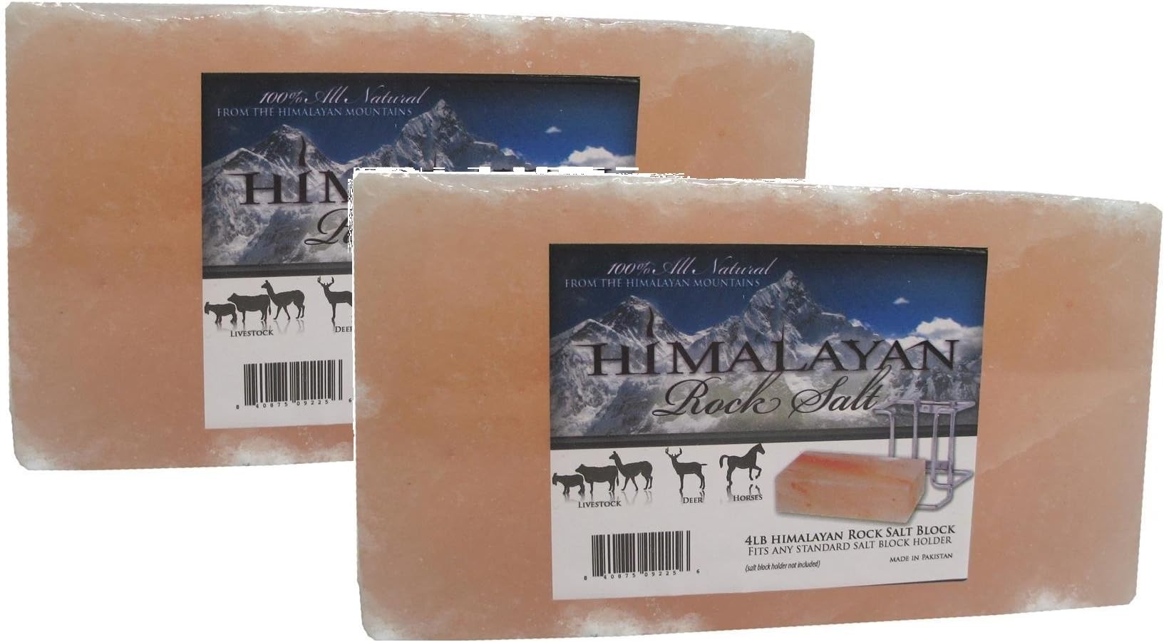 Talisker Bay Himalayan Salt Brick (8 Pounds)