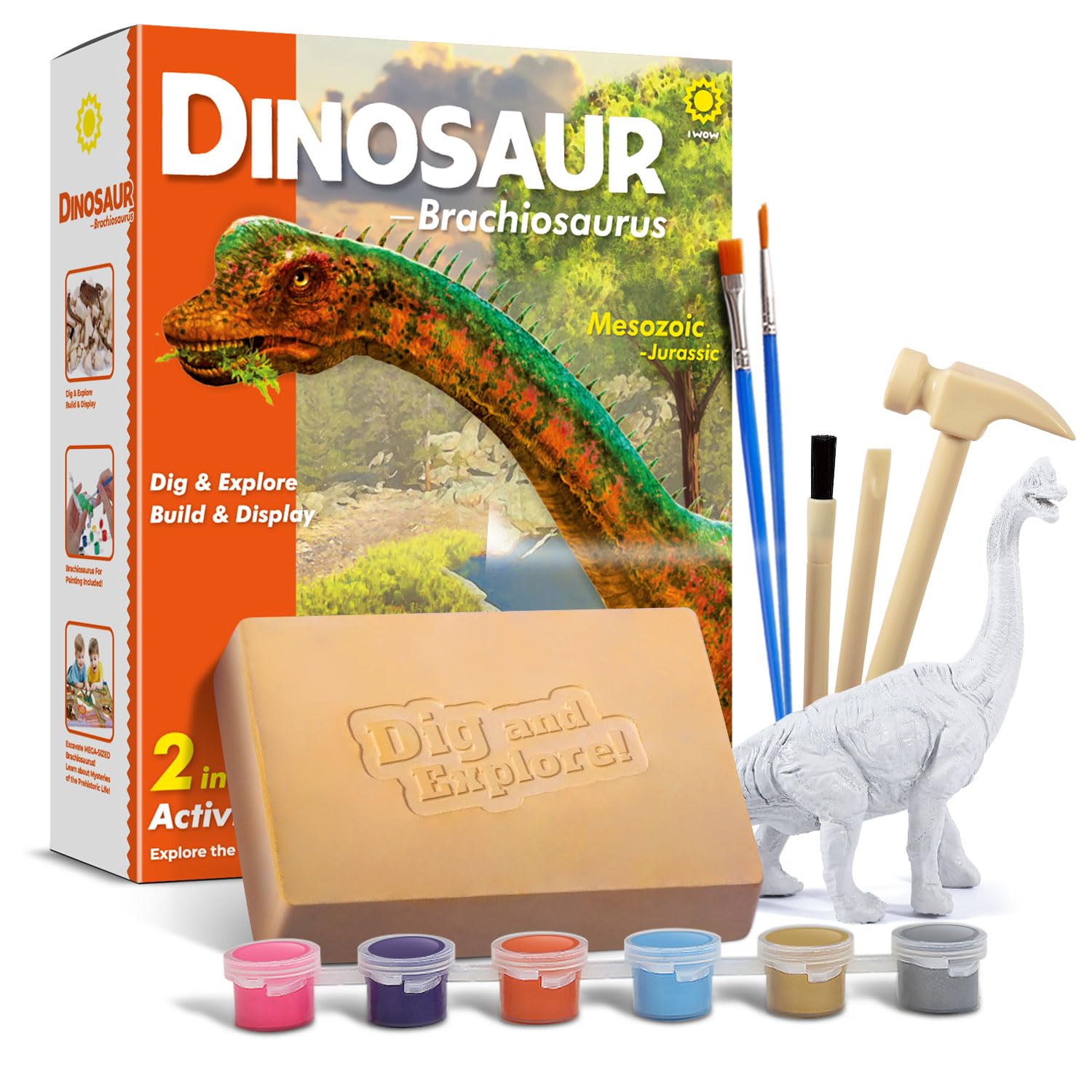 EGGBOX Kit 2-en-1 Fouille De Squelette De Brachiosaure + Peinture – Paléontologue Pour Enfants Dès 6 Ans