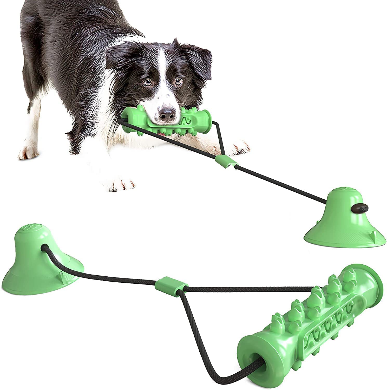 Buy Pet Me Dog Rope Toy Squeaky Toy Chew Toy Durable Suction Cup, Tug