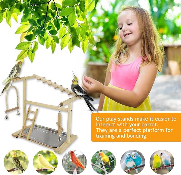Holzsammlung Parrot Playground with Ladder, Wooden Perch Stand, Bird Play Gym & Toy Cage Accessories for Small to Middle Size Parakeets, Cockatiels, Finches, Budgies & Lovebirds - 2