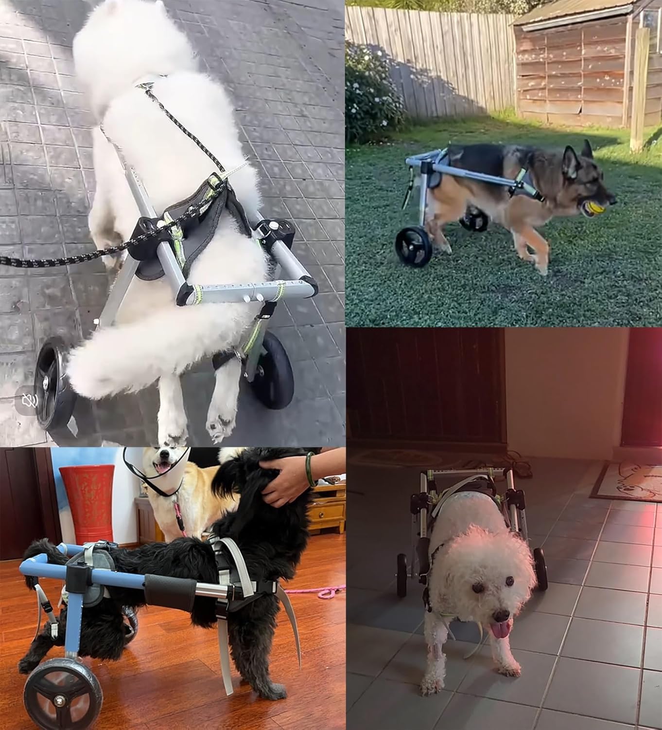 Dog Wheelchair Back Leg 4-Wheel Dog Wheelchair Large Breed, Medium Assisted Walker for Weak Back Limb, Outdoor Doggy Mobility Aid for Hind Legs Walking(Pink,XXL)