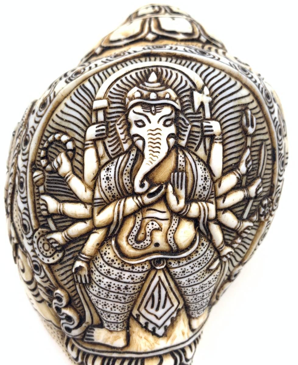 ◆チベット密教法具 法螺貝（シャンカ）ガネーシャ-D Amazon.co.jp: チベット密教法具 法螺貝（シャンカ