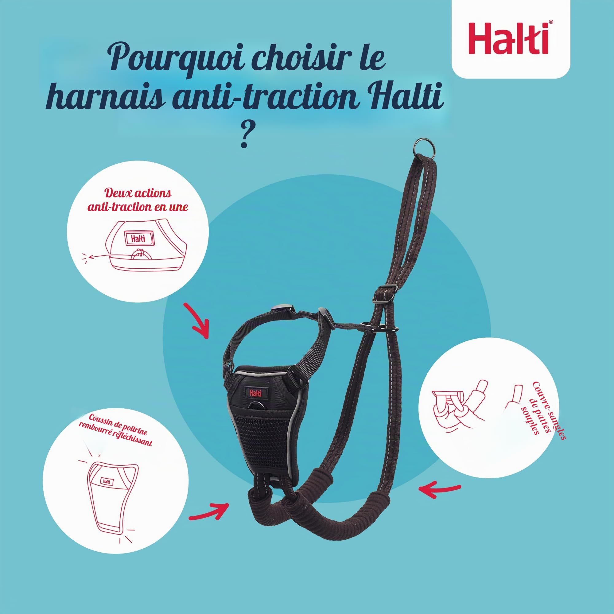 HALTI Harnais anti-traction Taille M & HALTI Laisse d'entraînement Taille L Noir Pack combiné – Empêche votre chien de tirer sur la laisse. Réglable, léger et facile à utiliser. Convient aux chiens de