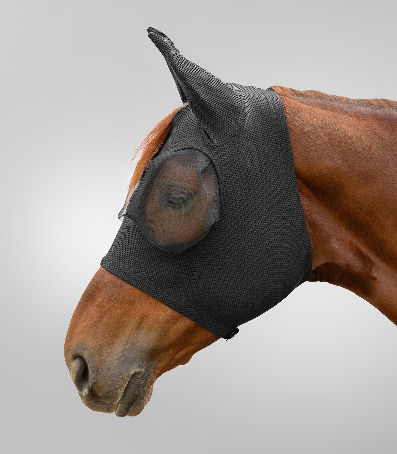 WALDHAUSEN Fliegenmaske Puck Breath, schwarz, VB