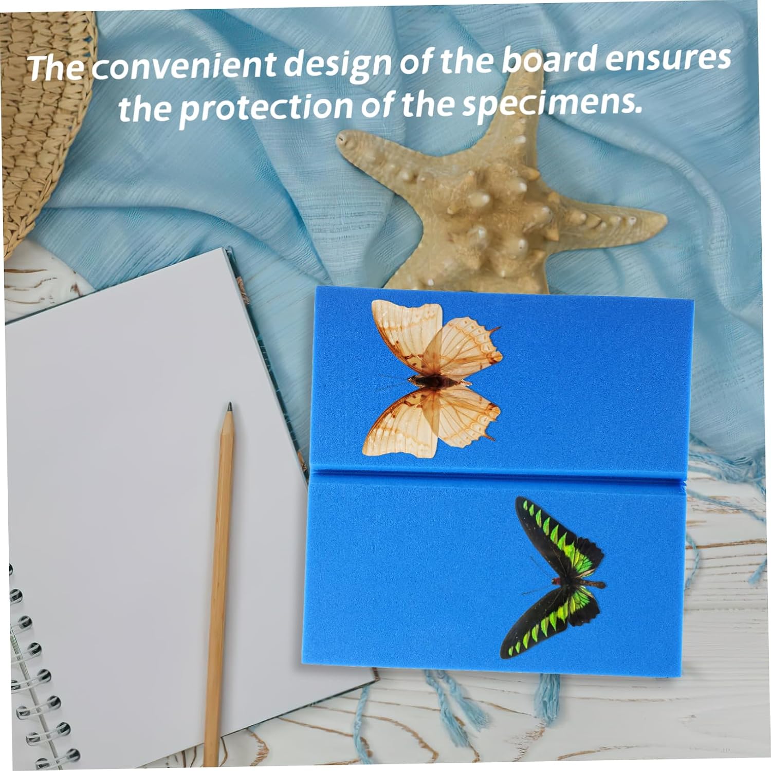 Butterfly Pinning Board EVA Foam Specimen Display Panel Lightweight Secure Insect Mounting Kit for Beginners Collection