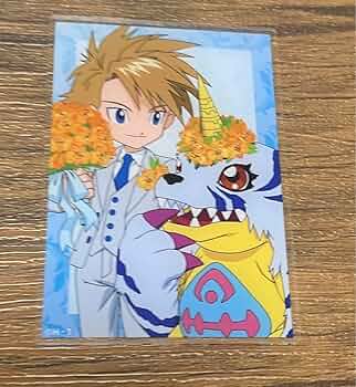 デジモンアドベンチャー カード ヤマト 71rfeDfbgiL._UF350,350_QL50_.jpg