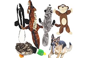 Jalousie Dog Toy Variety Pack