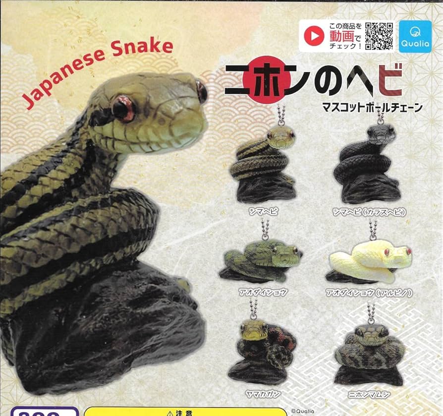 【廃盤】SNAKES,THE QONOS vs SNAKES 廃盤】SNAKES,THE QONOS vs SNAKES 廃盤】SNAKES,THE QONOS vs