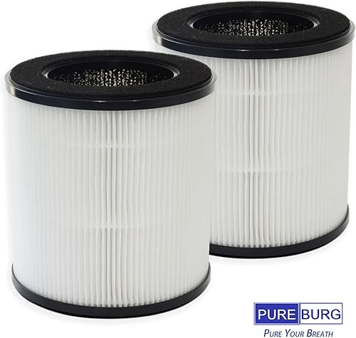 Miniatura 5 de PUREBURG Filtro HEPA de repuesto compatible con purificador de aire DIKI y VAVSEA B-D02H, paquete de 2 unidades H13 de carbón activado de filtración