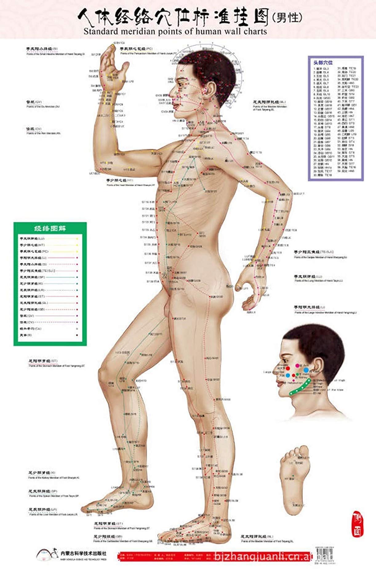Amazon.co.jp: ZHONGJIUYUAN 6 Stlye 女性/男性指圧チャート
