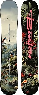 Burton Custom Flying V snowboard