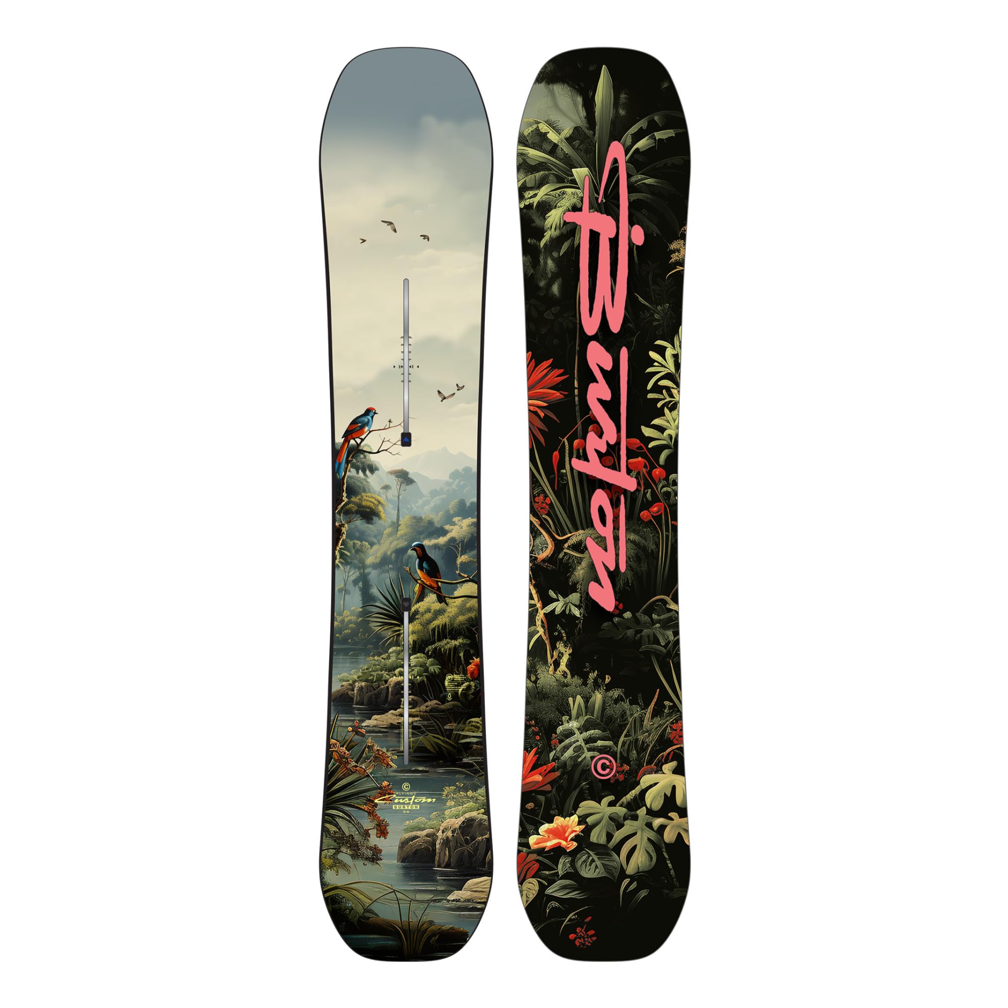 Amazon.com : Men's Burton Custom Flying V Snowboard, 154Wcm