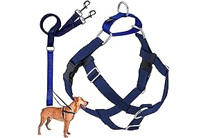2 Hounds Design Freedom No Pull Dog Harness