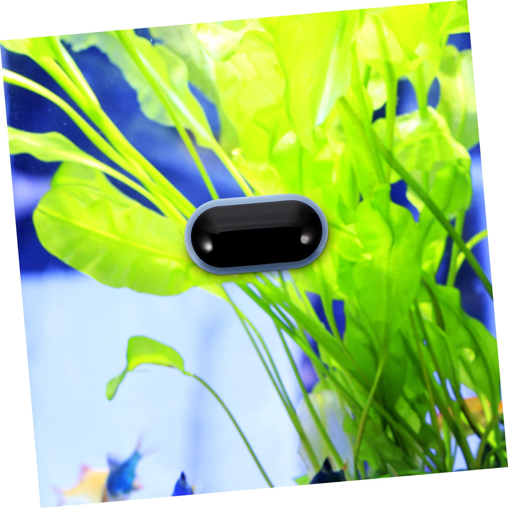 BESPORTBLE 5piezas Termómetro Digital De Agua Para Acuarios Medidor De Temperatura Compacto y Práctico Pantalla Led Precisa Para Monitoreo De Temperatura Peceras y Acuarios