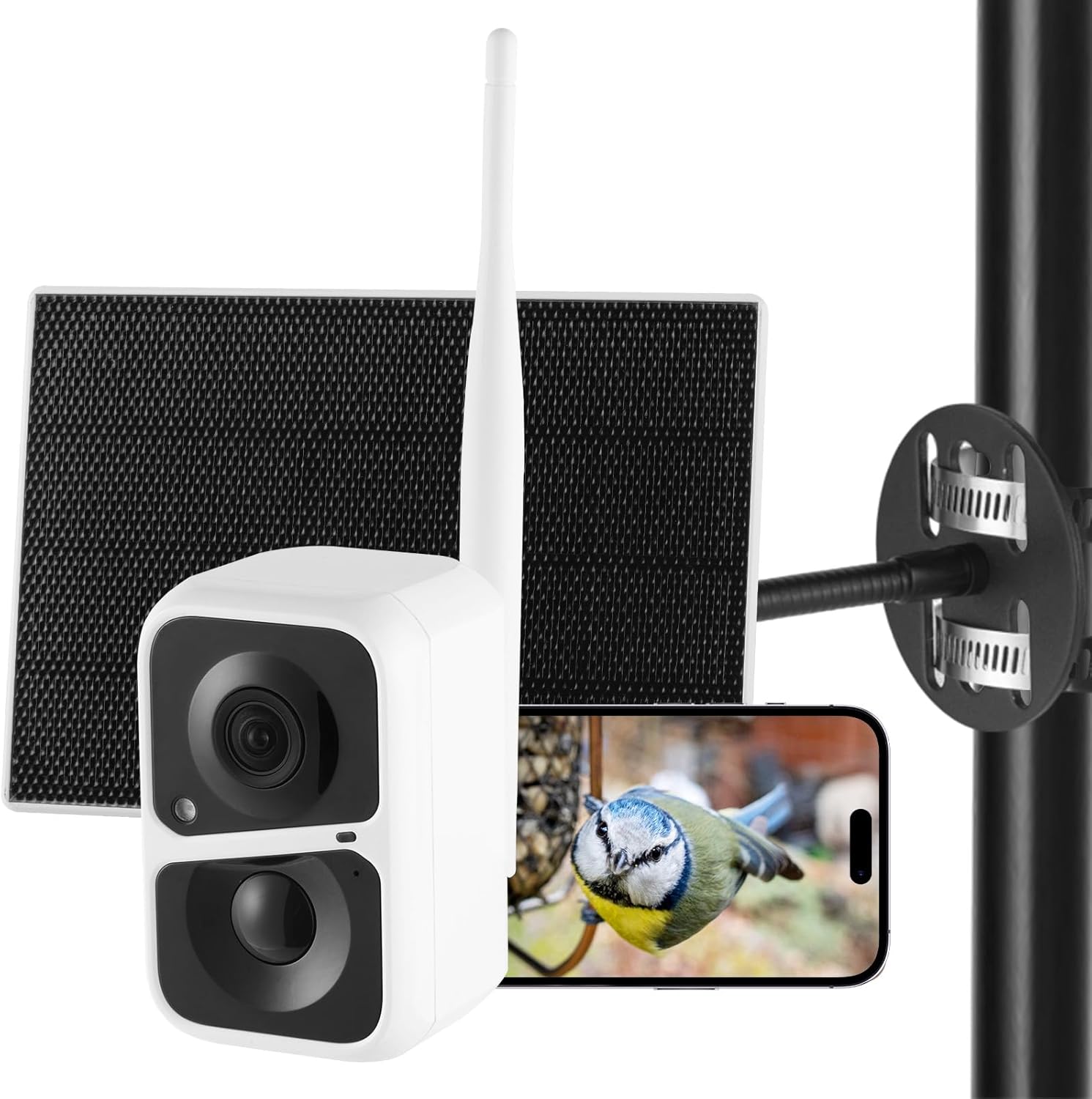 MIXXIDEA Smart Bird Feeder with Camera, 30-Day Free Identify of 10000 Birds, 360   Adjustable Bracket & 32GB SD Card Solar Powered, Automatic Capture of Recorded Bird Videos, Instant Notifications