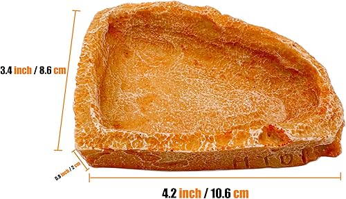 Miniatura 8 de Plato pequeño de comida para reptiles, paquete de 2 cuencos de comida para reptiles para dragón barbudo, gecko, lagarto, rana, cangrejo ermitaño,