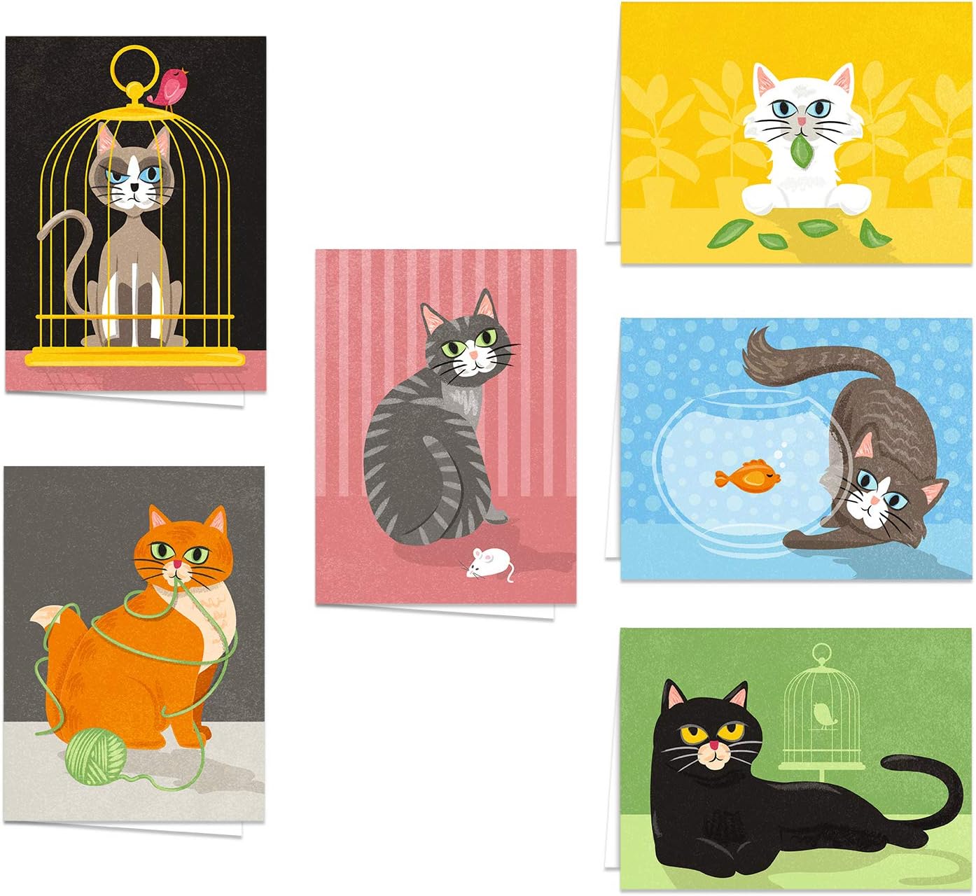 Amazon.com : The Best Card Company - 10 All Occasion Blank Cat Cards (4 ...