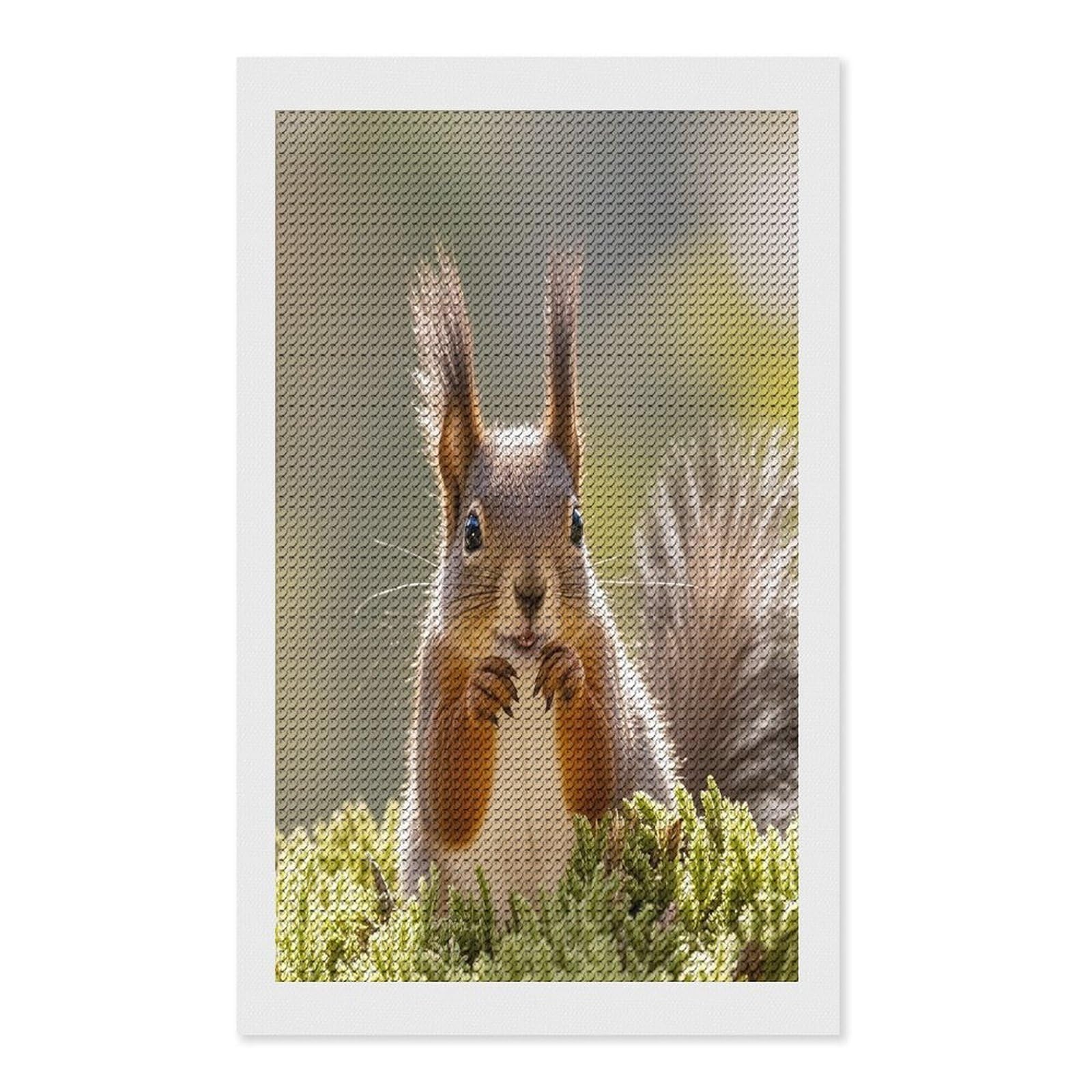 FekiLoot Squirrel Funny Animal Diamond Painting Kits for Adults Full Round Drill Diamond Art Kits for Beginners 5D DIY Diamond Dots Paintings Diamonds Pictures Gem Art Home Wall Decor 12"x20"