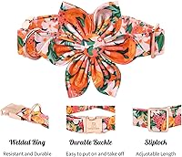 Vista 49 de Lionheart glory Collar de perro con bandera estadounidense, collar de flores para perro del 4 de julio, resistente y ajustable, collar patriótico