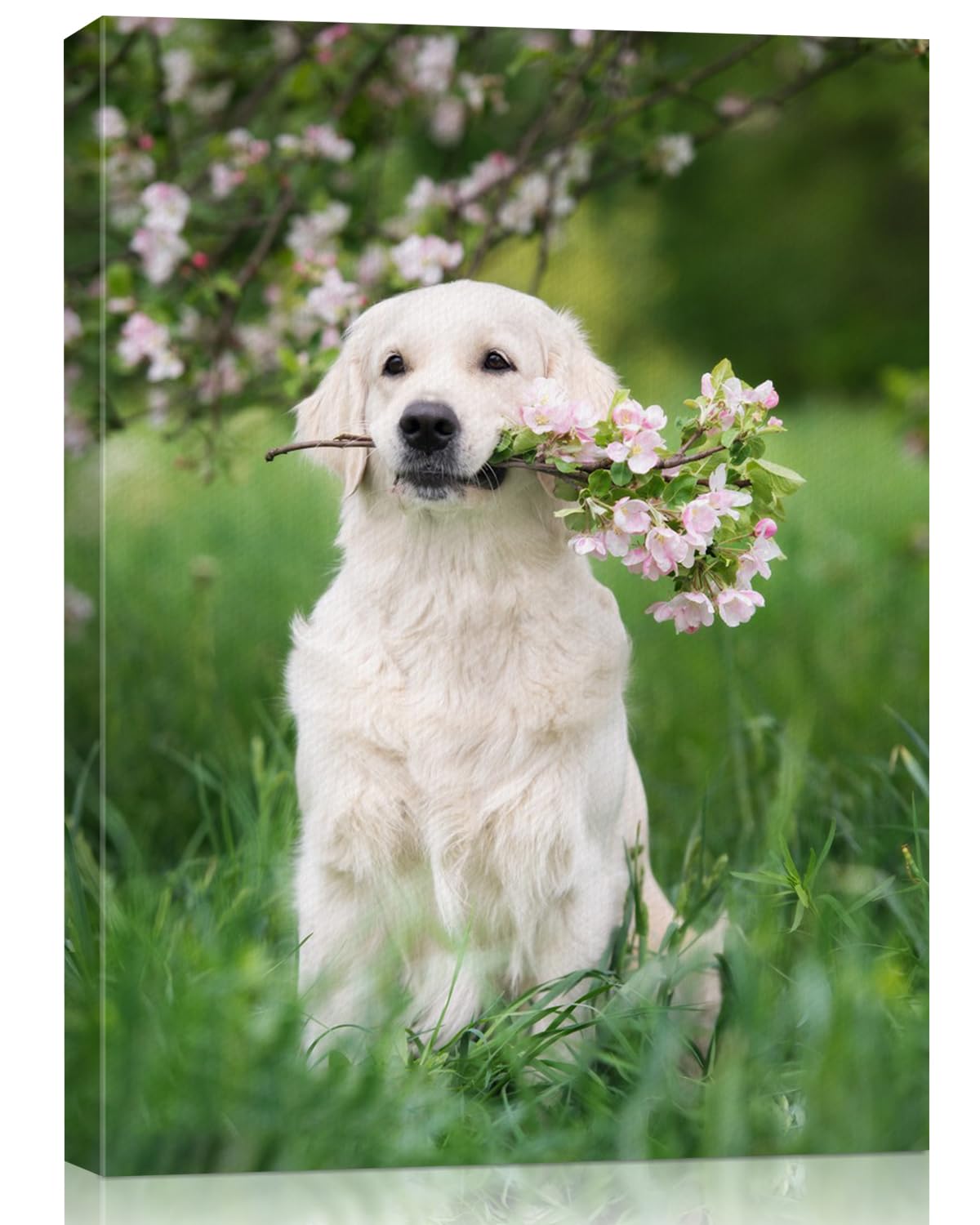 AbcCustomize Custom Canvas Prints,Transform Your Memories into Beautiful Art with Personalized Photo on Canvas,Personalized Canvas Wall Art for Home