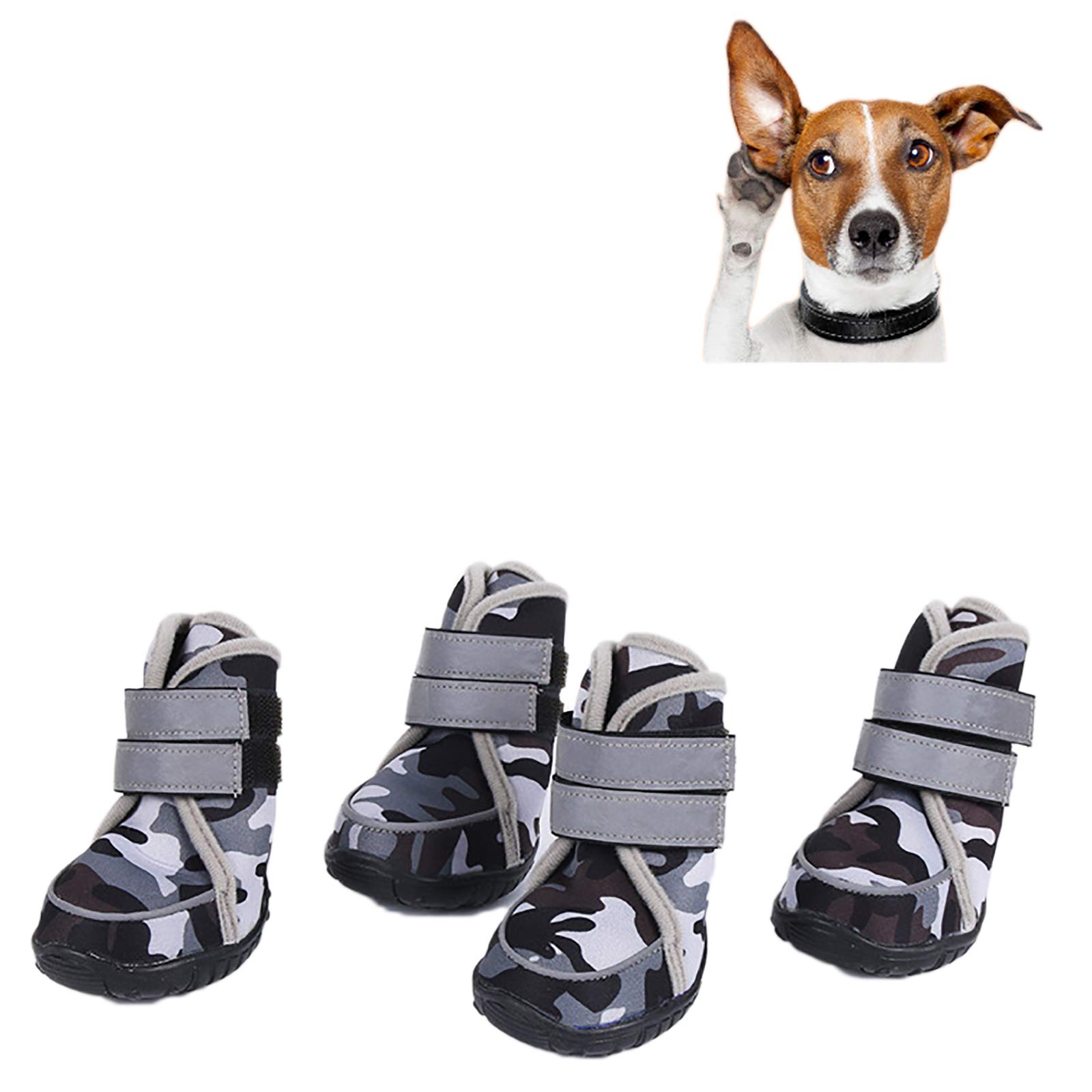 Chaussures pour chiens de grande taille pour prendre soin de ses pattes fragiles