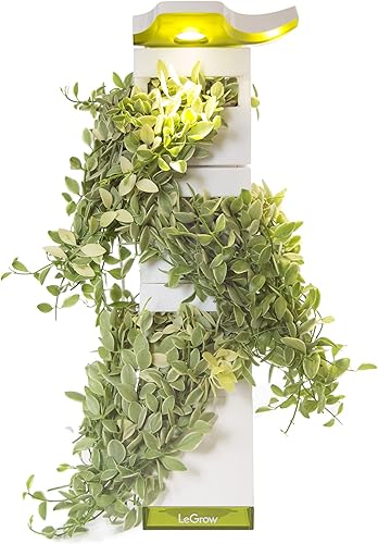 LeGrow Maceta vertical de jardín interior con luz LED de crecimiento, temporizador de 12 horas, jardín de casa de 3 pulgadas para cadenas de perlas