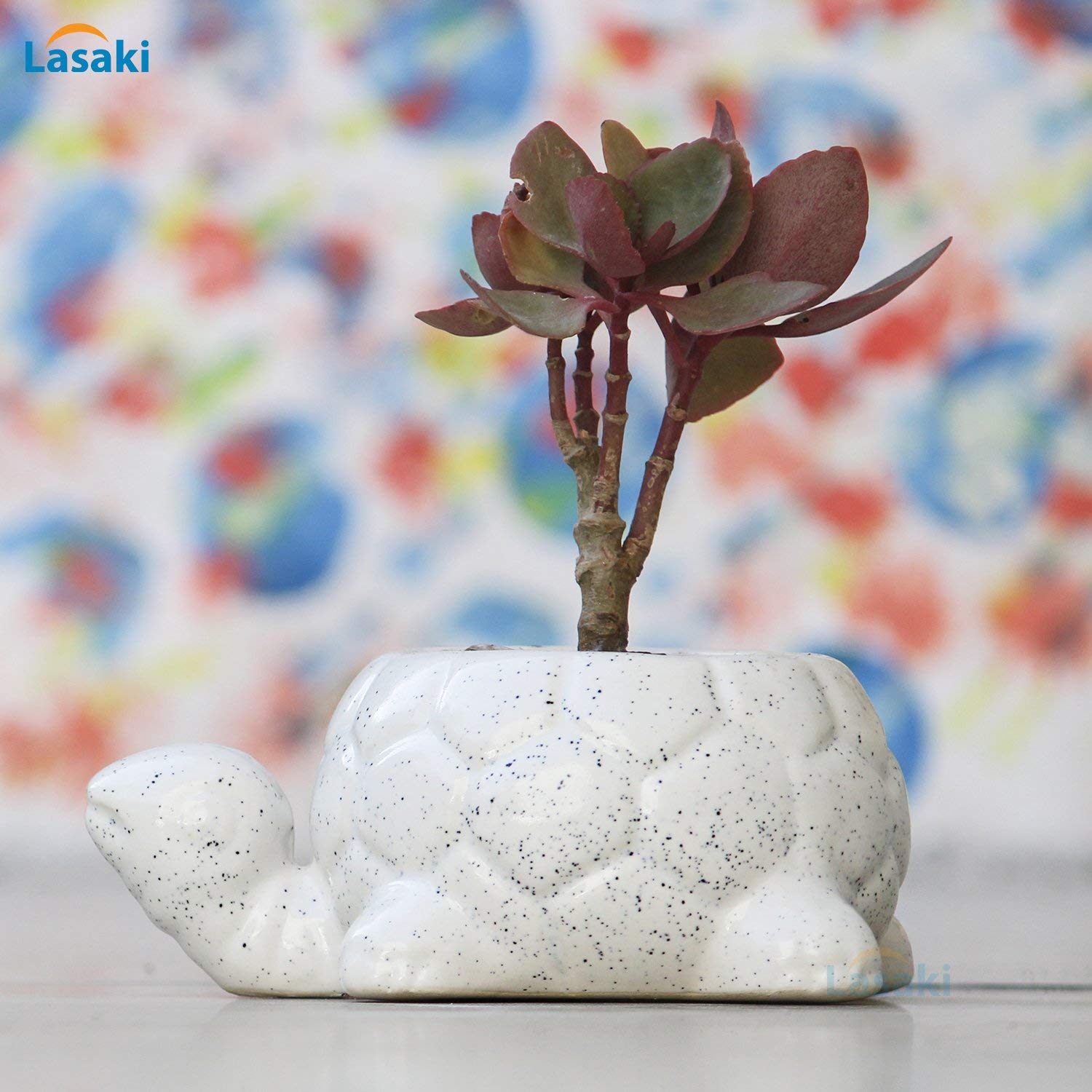 Lasaki Tortoise Small Ceramic Pots for Indoor Plants Planters Flower pots gamla Outdoor, Balcony Home Garden Office Decor Succulent Pot (Color:White)(Plants not Included) (B06XB82WVG) Amazon Price History, Amazon Price Tracker