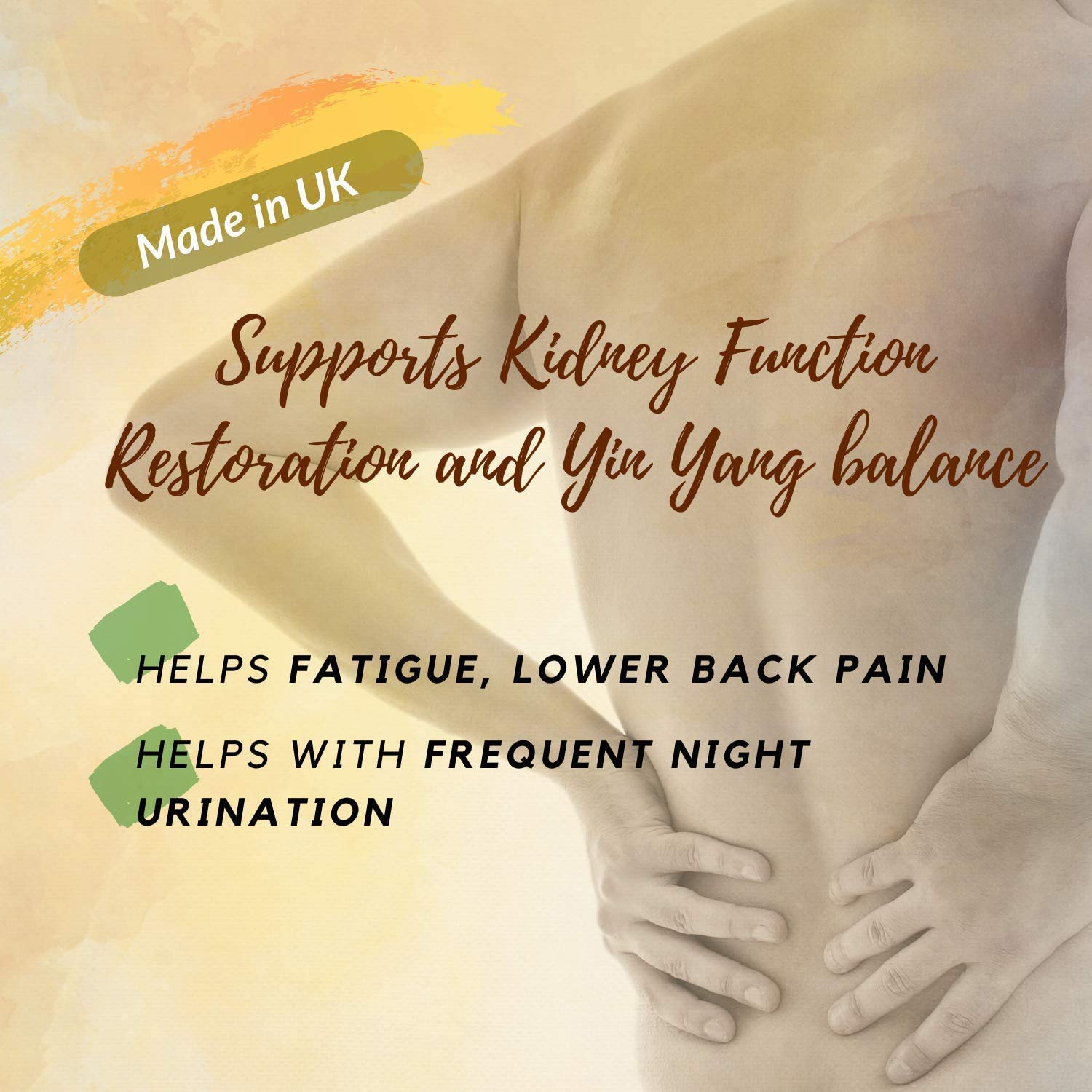 Jin GUI Shen Qi Tang Helps Support Kidney Health (Rehmannia), Back Pain, Frequent Night