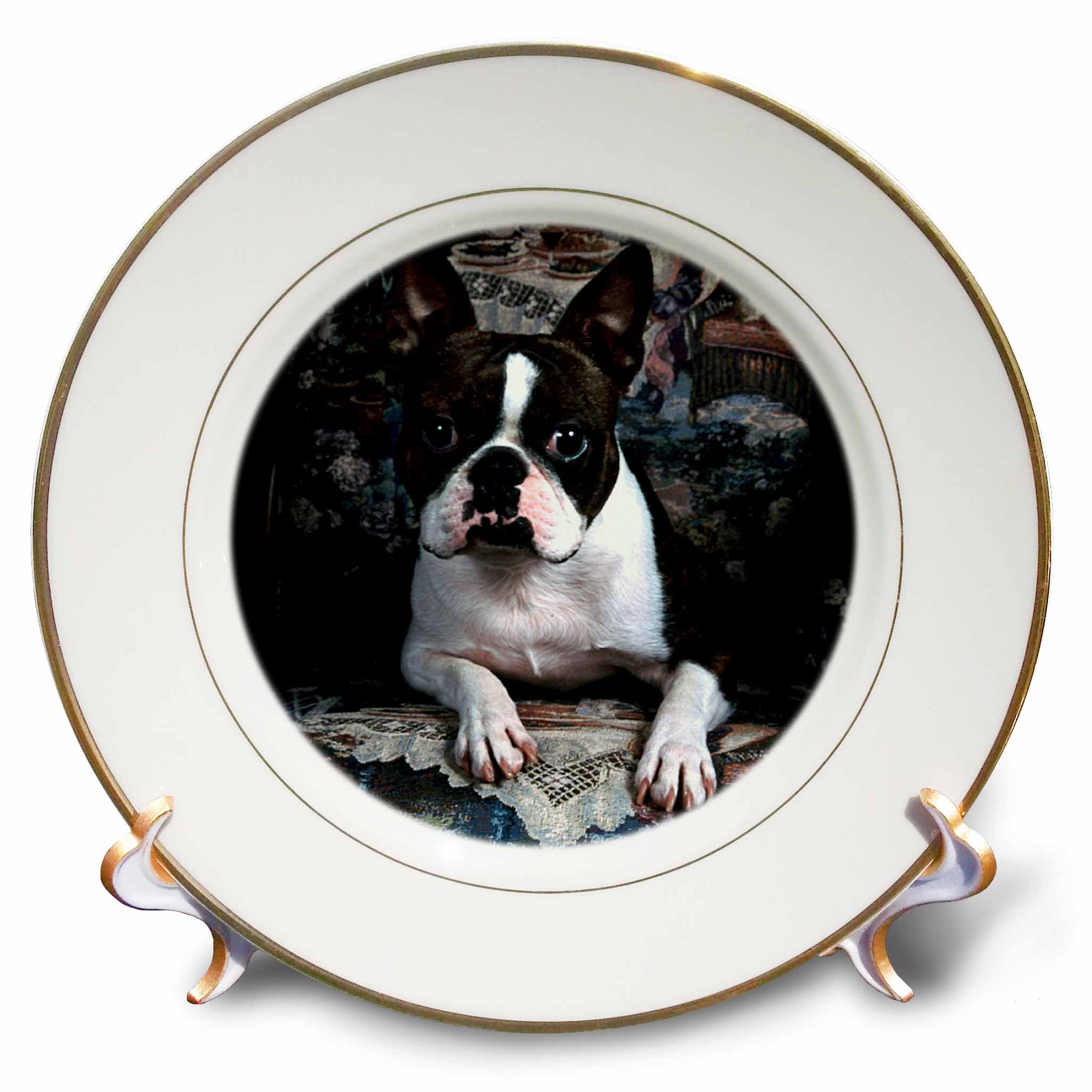3dRose Boston Terrier Philippe - Porcelain Plate, 8-inch