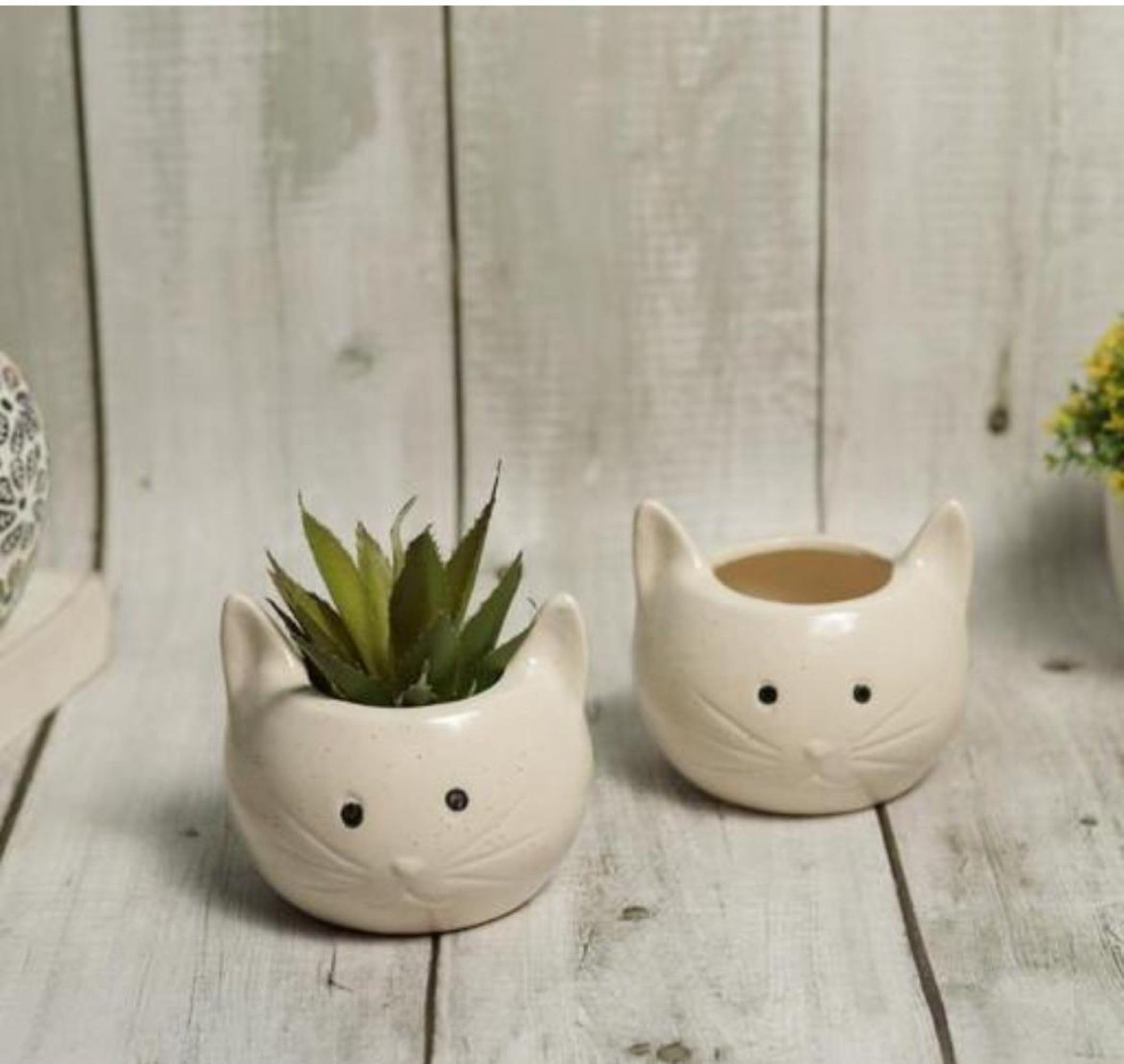 Boho Haven Elegant Ceramic Cat Planters (Set of 2) for Miniature Plants, Bonsai and Succulent Set of 2 (B0CSFNV9PN) Amazon Price History, Amazon Price Tracker