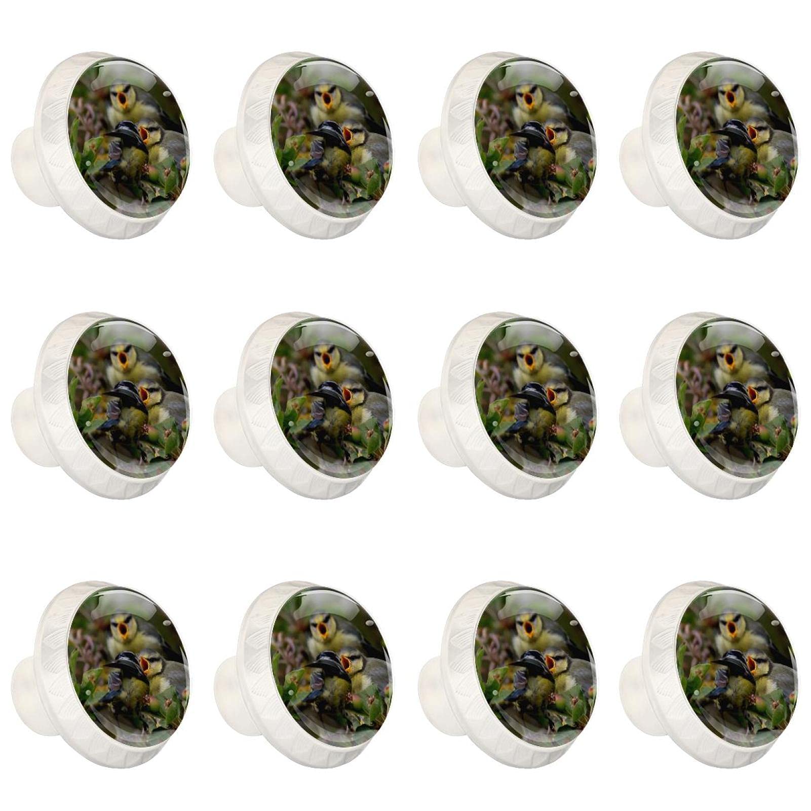 Boutons décoratifs ronds mésange bleue poignée de commode raffinée