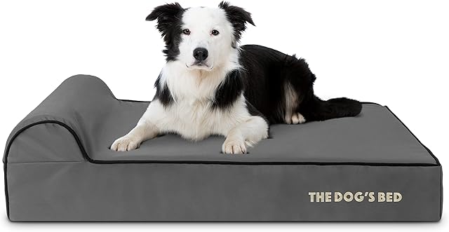 The Dogs Bed Orthopaedic Dog Bed Large Grey with Black Trim 101x64x15cm, Waterproof Memory Foam Dog Bed