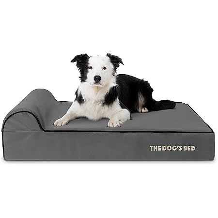 petsense dog beds