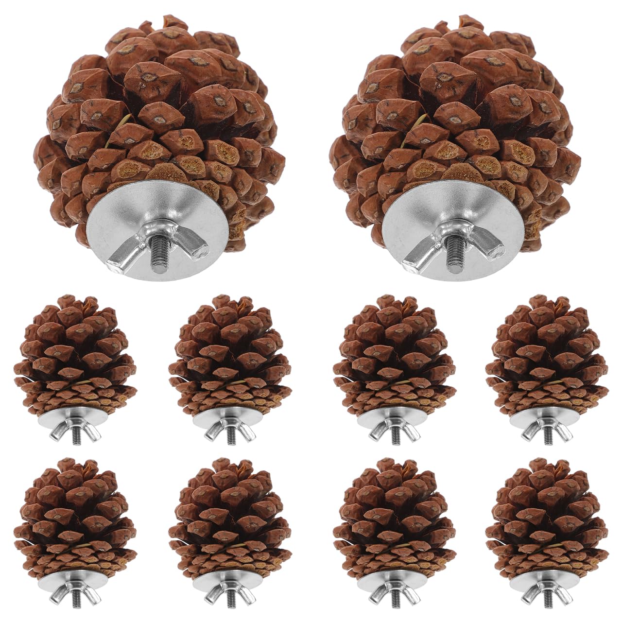 10 Pcs Natural Pine Cones Bird Toys, Parrot Chew Toy for Cage, Wood Foraging Shredding Playthings Conure Cockatiel Parakeet African Grey Macaw Nut Fixed - image 3