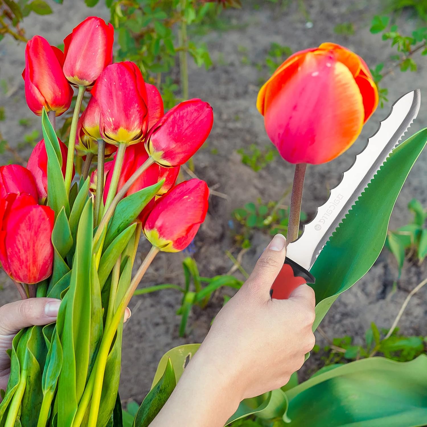 Insulation Knife, Sod Cutter Knife, 7.8" Double Side Stainless Steel Utility with Red Handle for Cutting Mineral Wool Garden