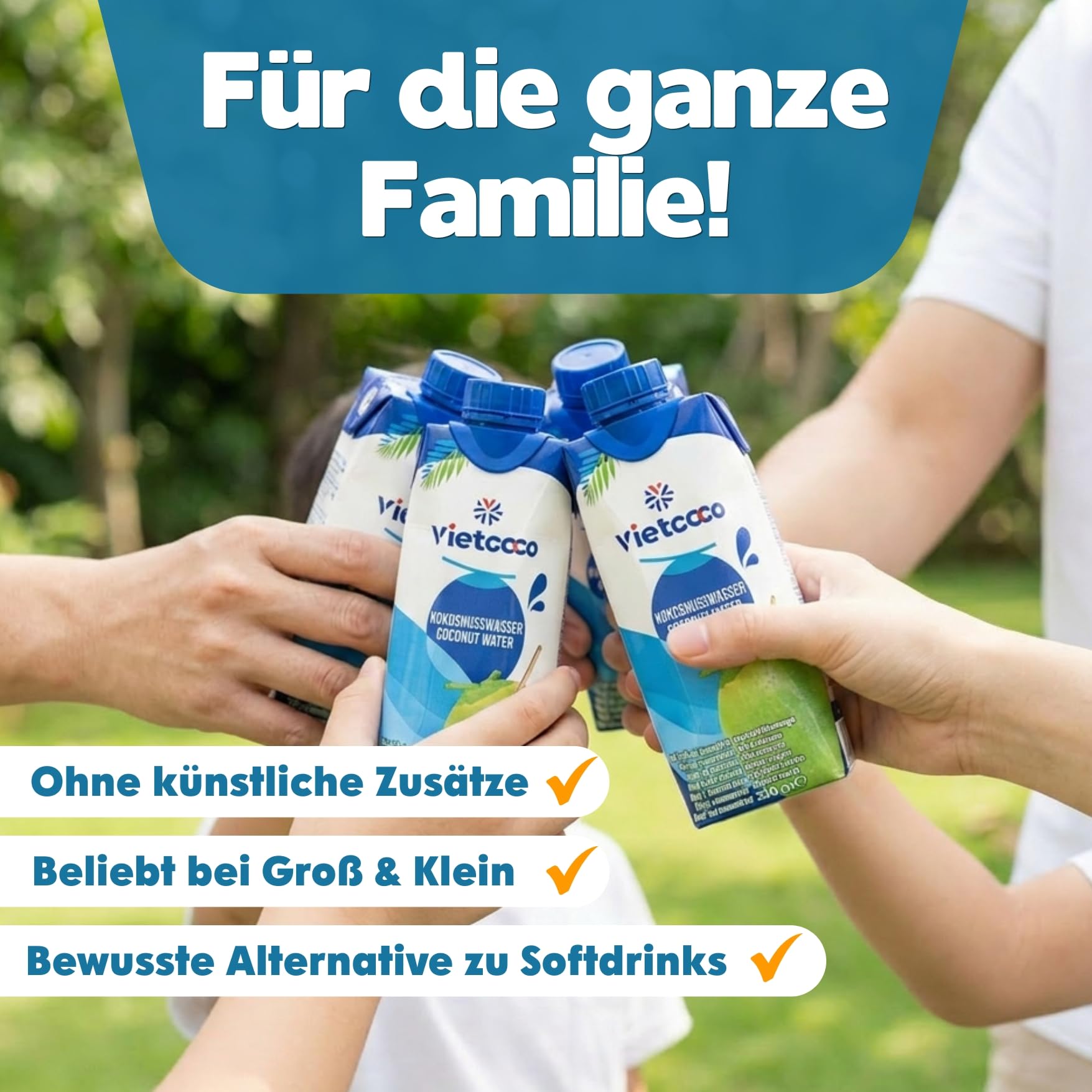 Vietcoco Kokoswasser 12 × 330 ml – 100% Pures Kokoswasser – ohne Zucker – Reich an Elektrolyten & Vitamin C – Erfrischend im Geschmack – Kalorienarm – Isotonisch & Lecker
