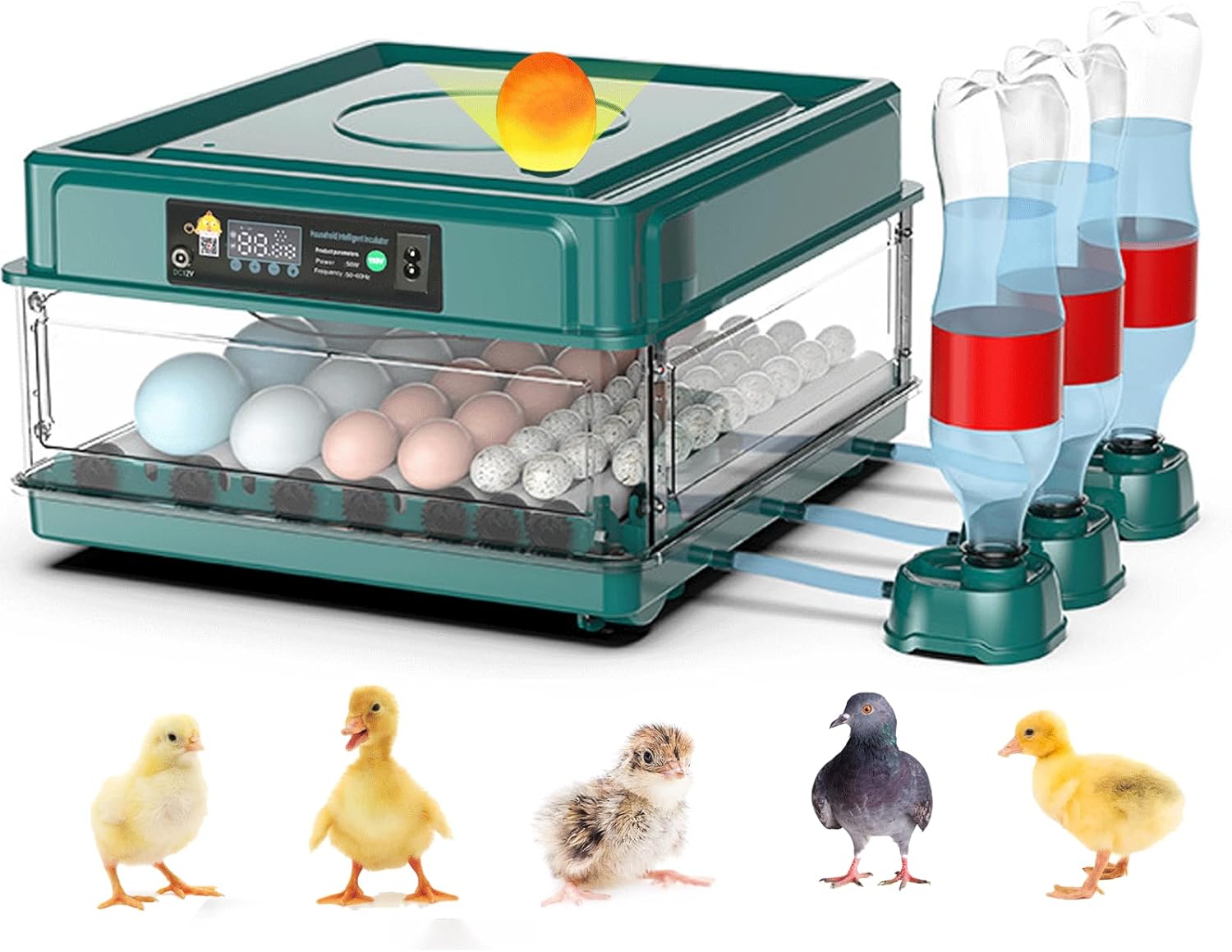 Automatic Egg Incubator 12-38 Eggs Automatic Poultry Intelligent Incubator for Hatching Eggs,with Automatic Turner, Egg Candler&Temperature Control,for Hatching Chicken Quail Bird Duck Eggs(12 EGGS)