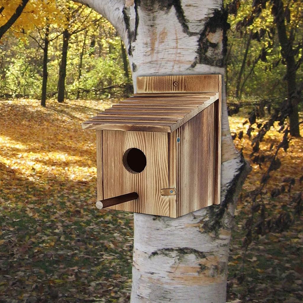 Amazon.co.jp: Jshigogo 巣箱 鳥小屋 野鳥の巣箱 屋外 小鳥巣箱 DIY