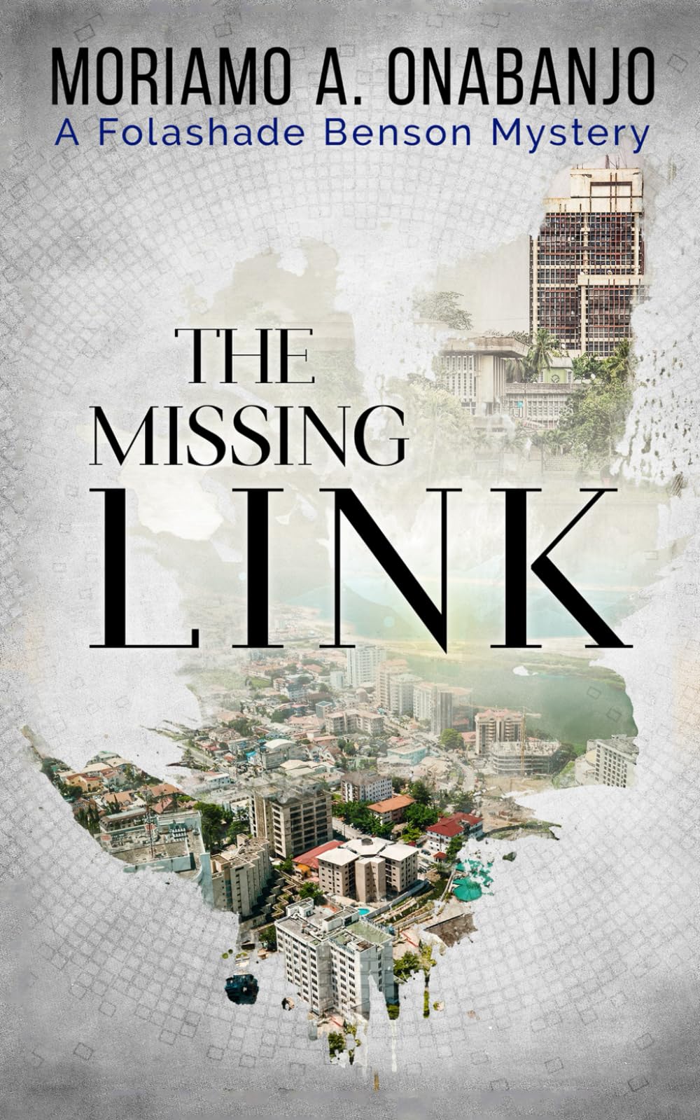 The Missing Link (African Mystery Series)