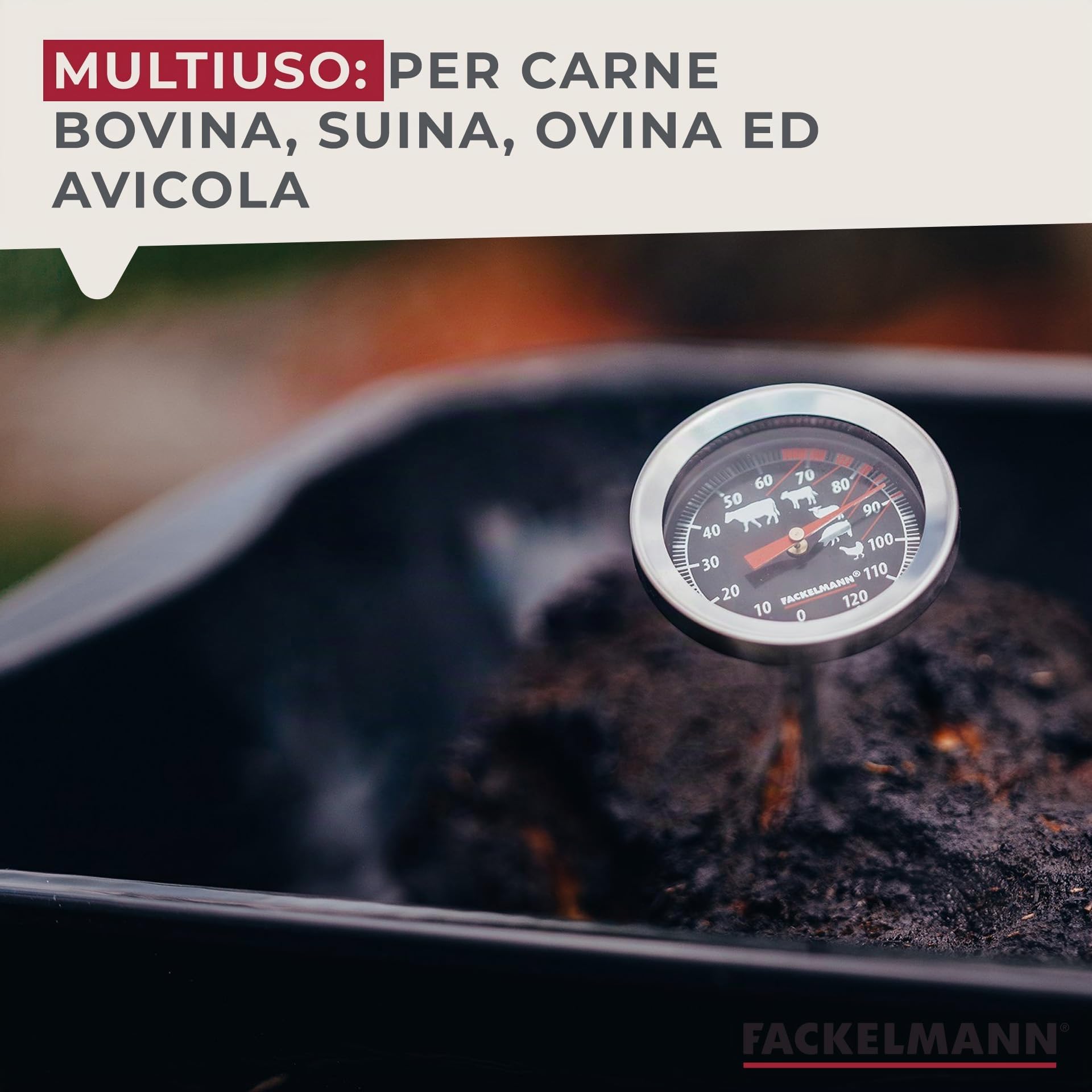 FACKELMANN Termometro per Carne e arrosti, Food&More (Colore: Argento), quantità: 1 Pezzo