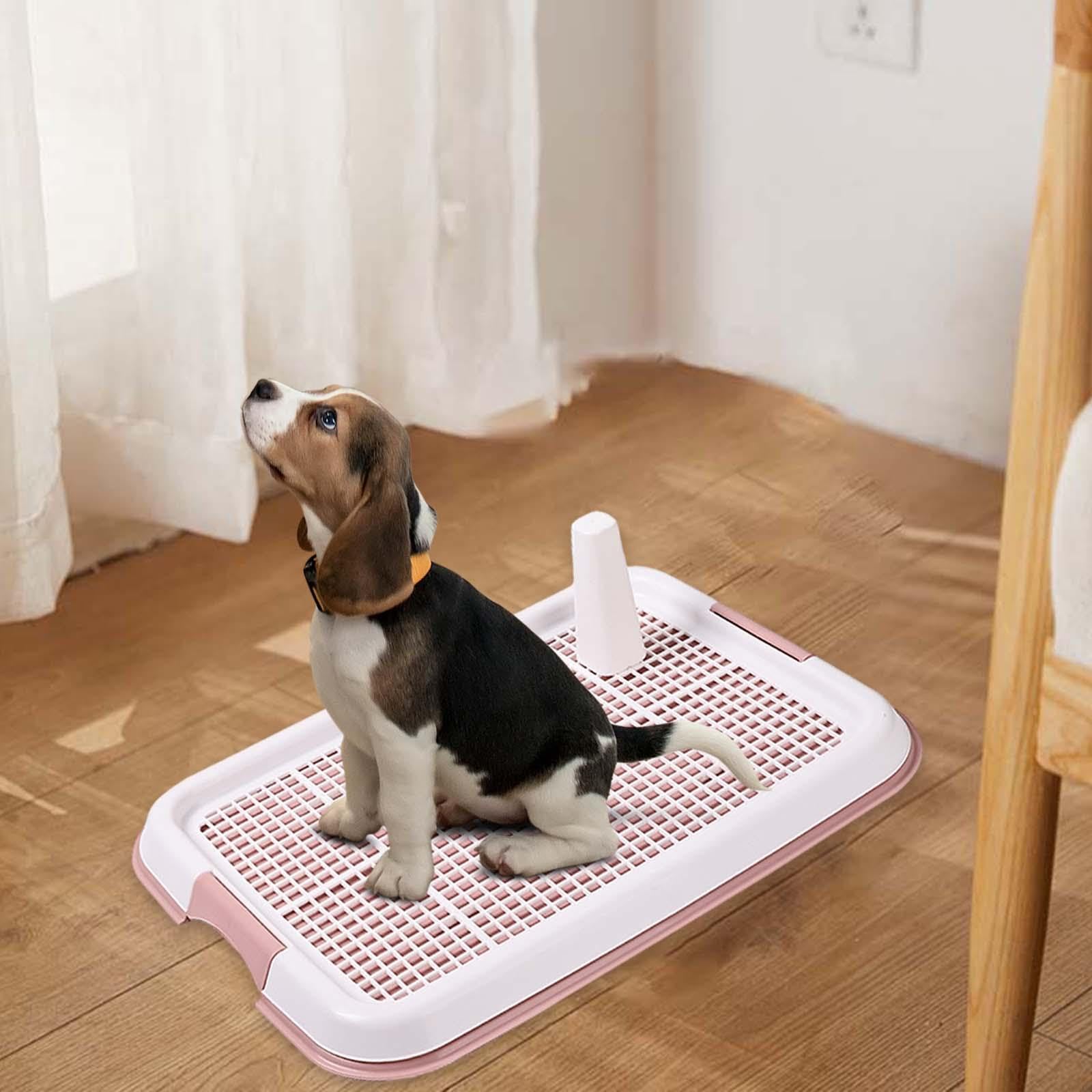 Amazon | KIXZSAZ 耐久性のある犬用トイレ 屋内/屋外対応 小型犬用