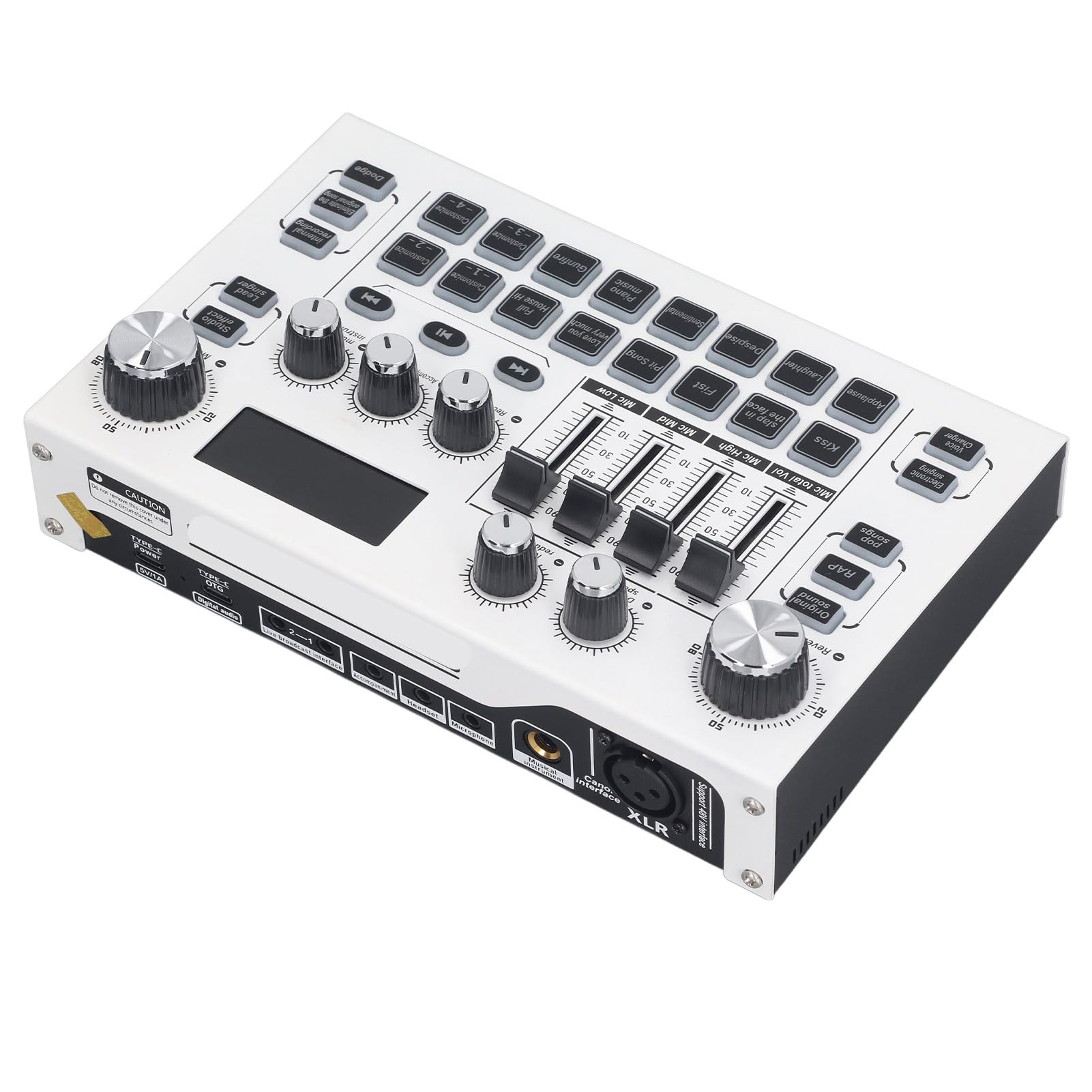 Dilwe Mixer Digitale Portatile, Scheda Audio USB Dual Core, Registrazione di Spettacoli in Studio per Appassionati di Musica