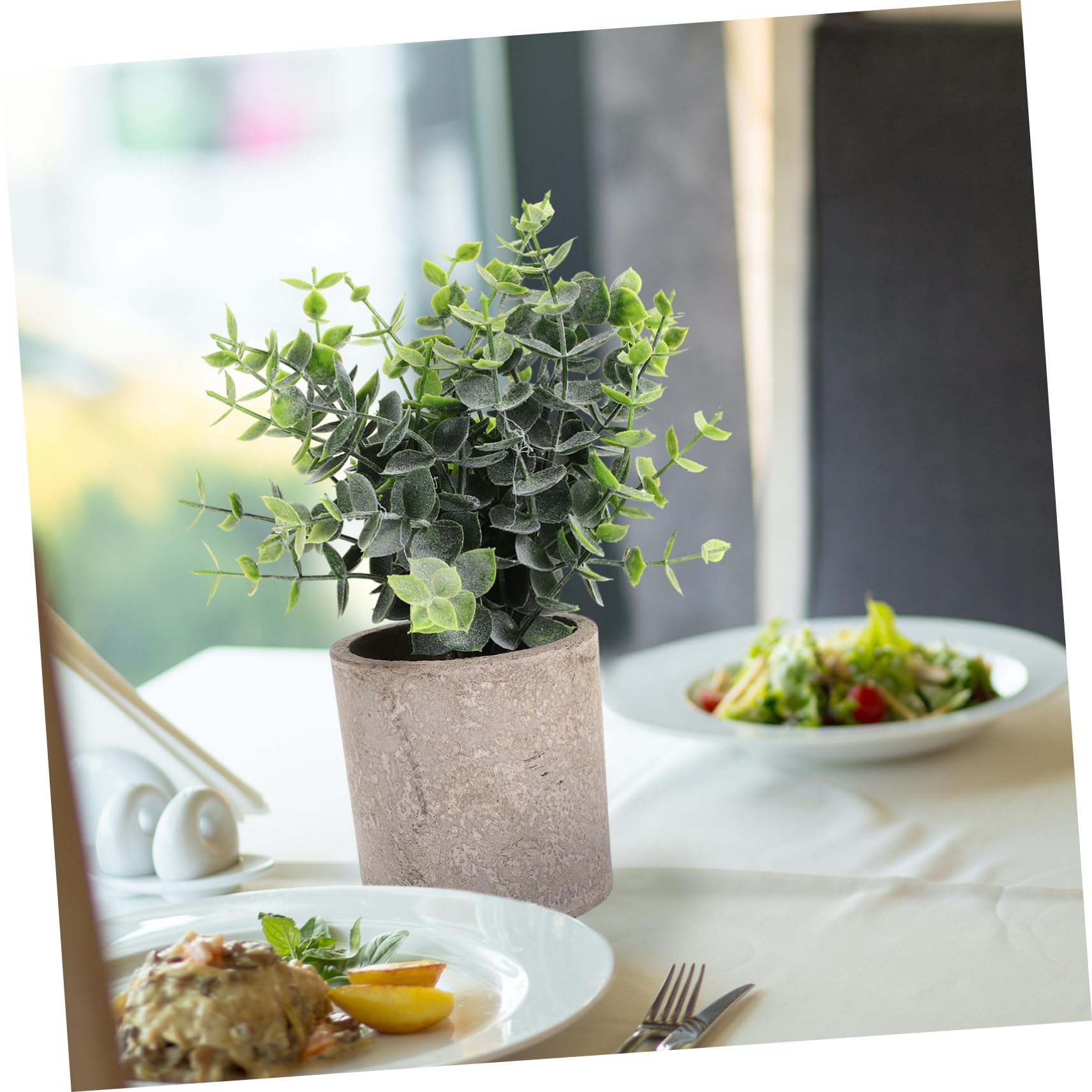 Zerodeko 3pezzi Potted Eucalyptus Per Decorazione Per e Casa Centrotavola Per Spazi