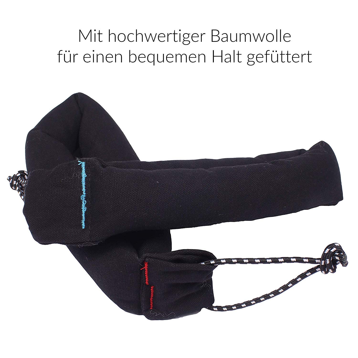 Wolkenstürmer Paraflex Speed 2.5 tapete de dirección | Cometa | para Altas velocidades (R2F)