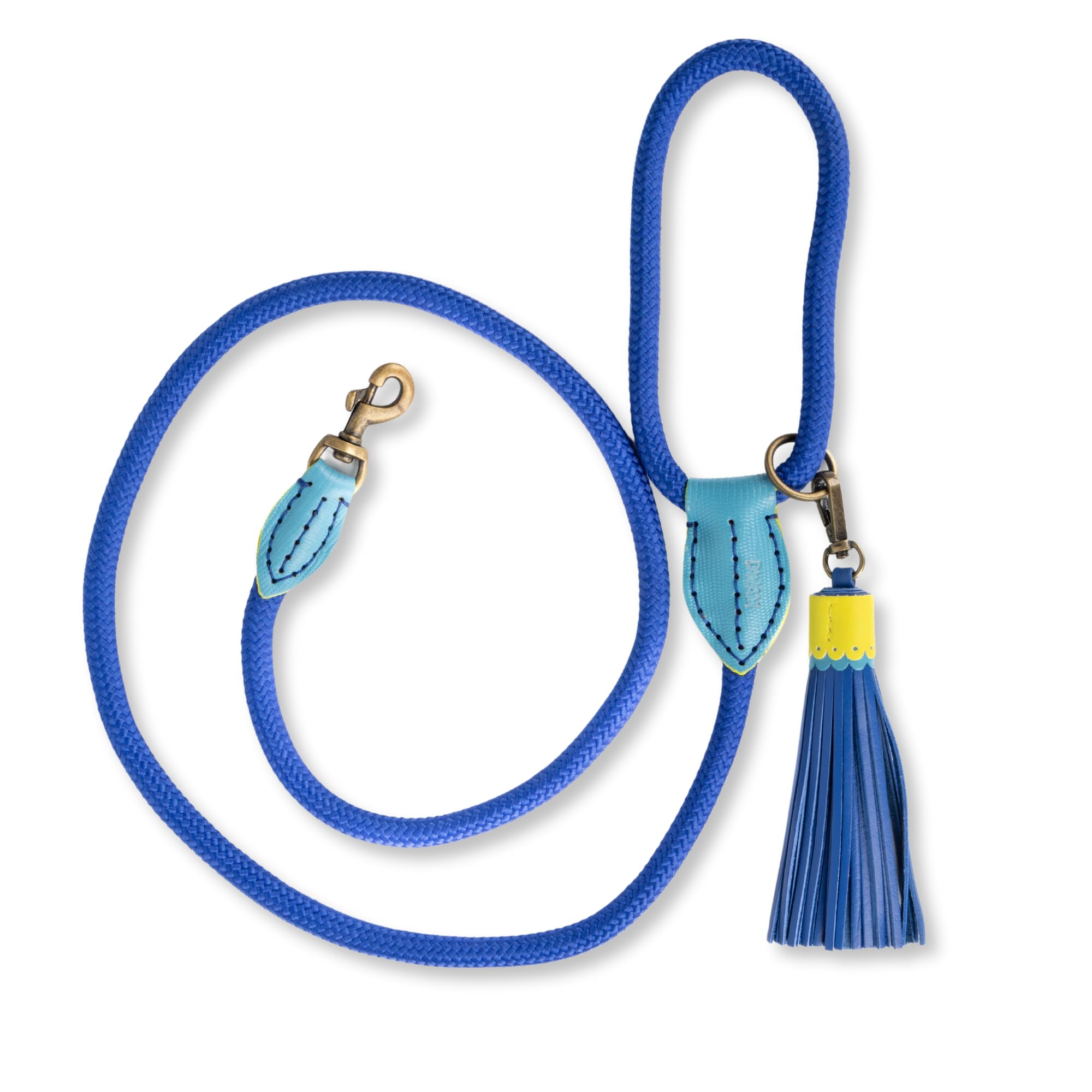 Dog with a Mission - Hundeleine S | Blaue Tauseilleine für kleine Hunde | Robuste Führleine mit Stabiler Karabinerhaken - 157 cm x 1 cm | Polyester & Leder - Leicht und stilvoll | Sky