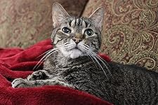 Review Image by Breezy Breezy