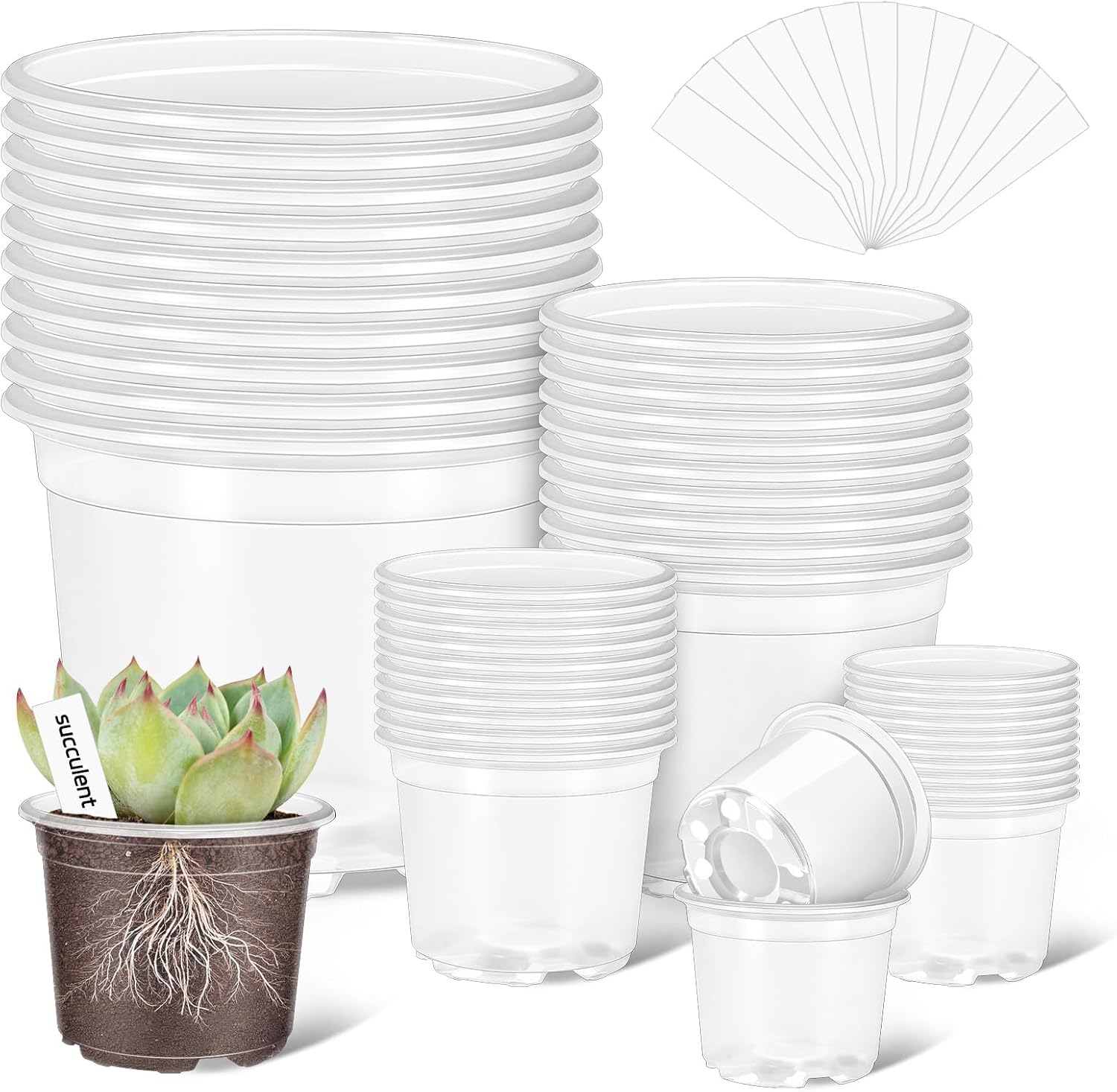 40 Pack 5/4/3/2.75 Inch Clear Nursery Pots with 40 Plant Labels, Clear Plant Pots with Drainage Hole Plastic Transparent Variety Pack Garden Flower Seedling Pot Small Planter Containers