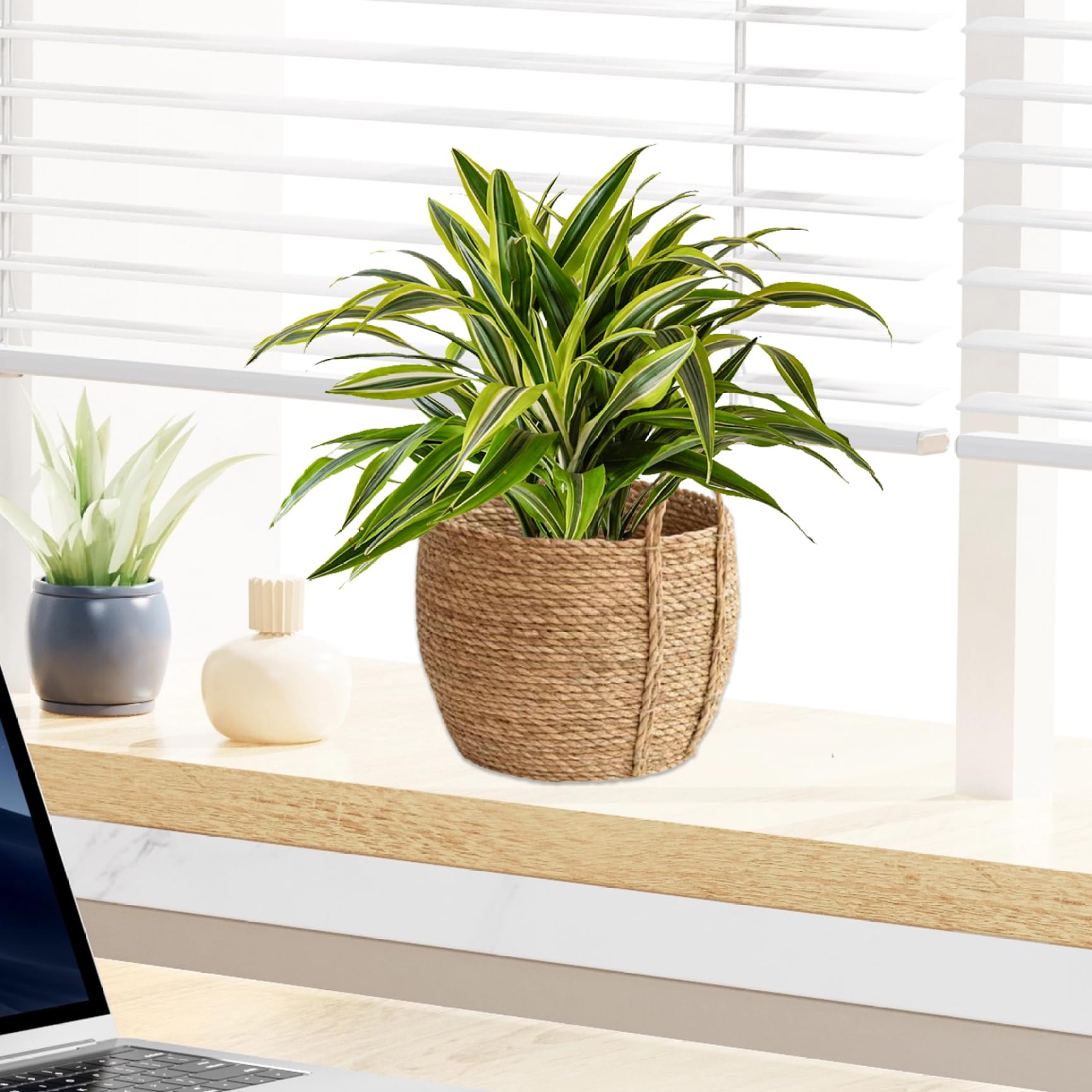 Panier tressé Pot de plantes en osier tressé 25,9 x 30 cm Pot rond en rotin avec poignée, panier à plantes en osier pour ranger le linge